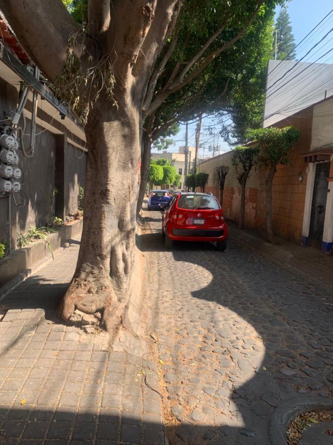Coyoacan Magico Mexico City Exterior photo